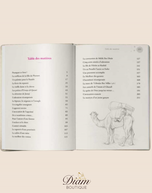 CES HÉROS DE L'ISLAM