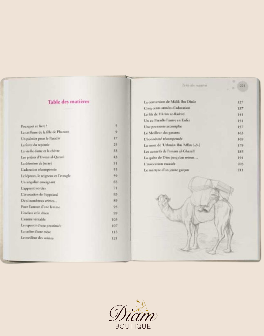 CES HÉROS DE L'ISLAM